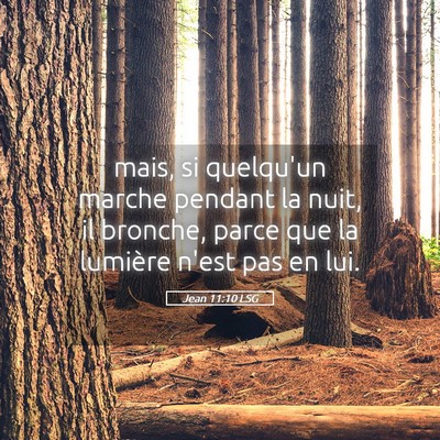 Picture 05 - Jean 11:10 LSG - mais, si quelqu'un marche pendant la nuit, il - Bible Verse Picture