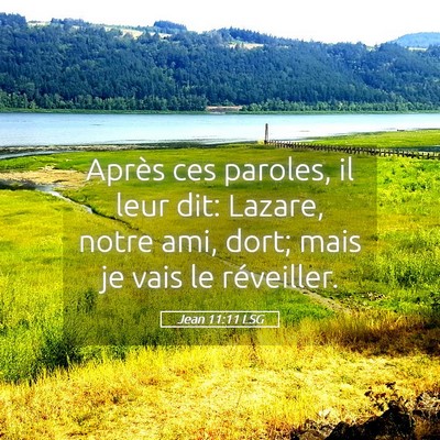 Picture 05 - Jean 11:11 LSG - Après ces paroles, il leur dit: Lazare, notre - Bible Verse Picture