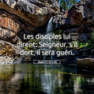 Picture 05 - Jean 11:12 LSG - Les disciples lui dirent: Seigneur, s'il dort, il - Bible Verse Picture