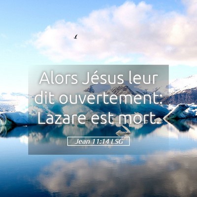 Picture 05 - Jean 11:14 LSG - Alors Jésus leur dit ouvertement: Lazare est - Bible Verse Picture