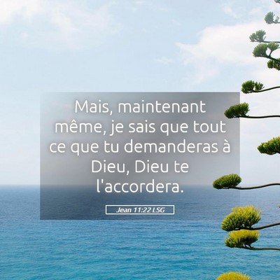 Picture 05 - Jean 11:22 LSG - Mais, maintenant même, je sais que tout ce que - Bible Verse Picture