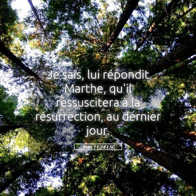 Picture 05 - Jean 11:24 LSG - Je sais, lui répondit Marthe, qu'il ressuscitera - Bible Verse Picture