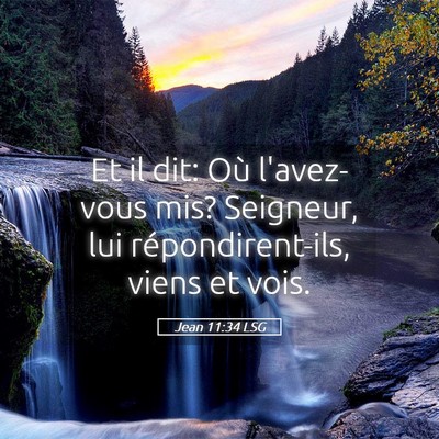 Picture 05 - Jean 11:34 LSG - Et il dit: Où l'avez-vous mis? Seigneur, lui - Bible Verse Picture