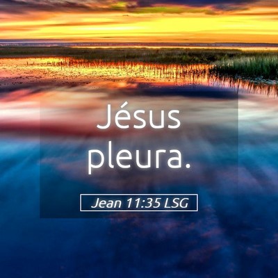 Picture 05 - Jean 11:35 LSG - Jésus - Bible Verse Picture