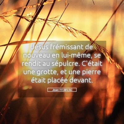 Picture 05 - Jean 11:38 LSG - Jésus frémissant de nouveau en lui-même, se - Bible Verse Picture