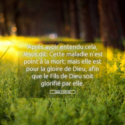 Picture 05 - Jean 11:4 LSG - Après avoir entendu cela, Jésus dit: Cette - Bible Verse Picture