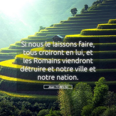 Picture 05 - Jean 11:48 LSG - Si nous le laissons faire, tous croiront en lui, - Bible Verse Picture