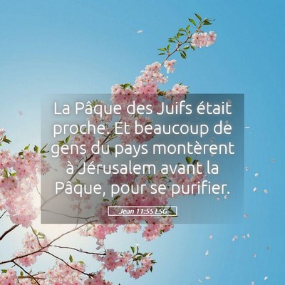 Picture 05 - Jean 11:55 LSG - La Pâque des Juifs était proche. Et beaucoup de - Bible Verse Picture