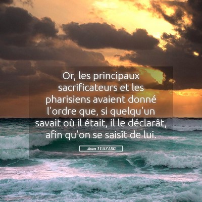 Picture 05 - Jean 11:57 LSG - Or, les principaux sacrificateurs et les - Bible Verse Picture