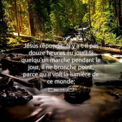 Picture 05 - Jean 11:9 LSG - Jésus répondit: N'y a-t-il pas douze heures au - Bible Verse Picture