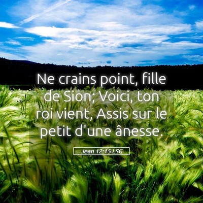 Picture 05 - Jean 12:15 LSG - Ne crains point, fille de Sion; Voici, ton roi - Bible Verse Picture