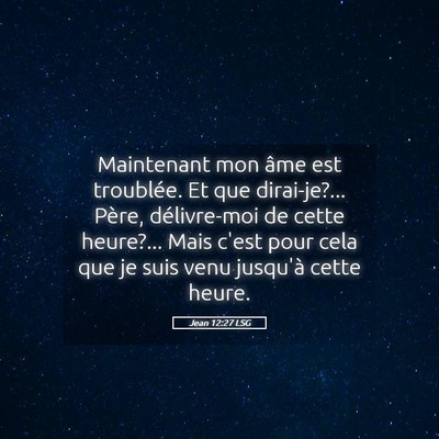 Picture 05 - Jean 12:27 LSG - Maintenant mon âme est troublée. Et que - Bible Verse Picture