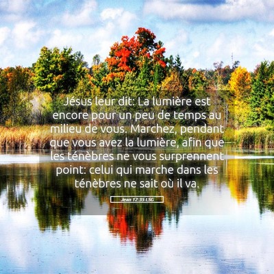 Picture 05 - Jean 12:35 LSG - Jésus leur dit: La lumière est encore pour un - Bible Verse Picture