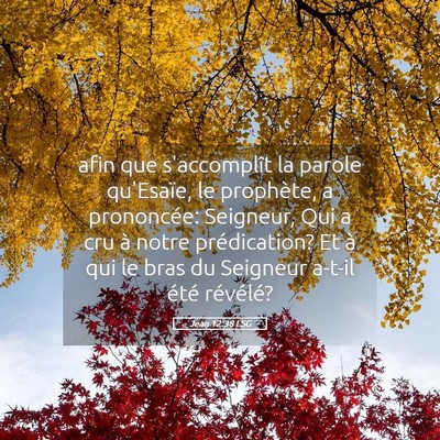 Picture 05 - Jean 12:38 LSG - afin que s'accomplît la parole qu'Esaïe, le - Bible Verse Picture