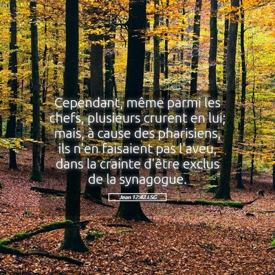 Picture 05 - Jean 12:42 LSG - Cependant, même parmi les chefs, plusieurs - Bible Verse Picture