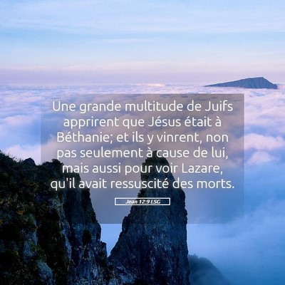 Picture 05 - Jean 12:9 LSG - Une grande multitude de Juifs apprirent que - Bible Verse Picture