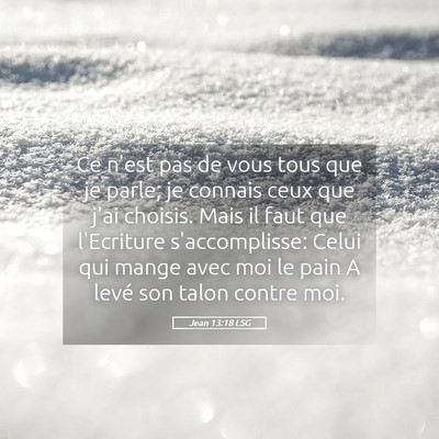 Picture 05 - Jean 13:18 LSG - Ce n'est pas de vous tous que je parle; je - Bible Verse Picture