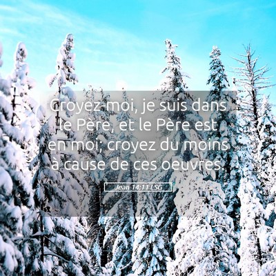 Picture 05 - Jean 14:11 LSG - Croyez-moi, je suis dans le Père, et le Père - Bible Verse Picture