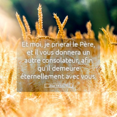 Picture 05 - Jean 14:16 LSG - Et moi, je prierai le Père, et il vous donnera - Bible Verse Picture