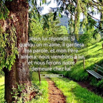 Picture 05 - Jean 14:23 LSG - Jésus lui répondit: Si quelqu'un m'aime, il - Bible Verse Picture