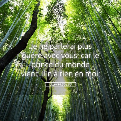 Picture 05 - Jean 14:30 LSG - Je ne parlerai plus guère avec vous; car le - Bible Verse Picture