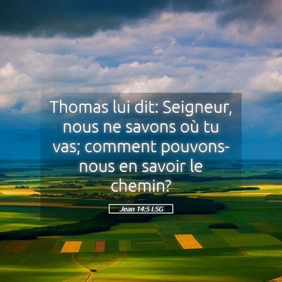 Picture 05 - Jean 14:5 LSG - Thomas lui dit: Seigneur, nous ne savons où tu - Bible Verse Picture