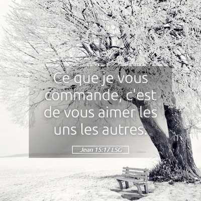 Picture 05 - Jean 15:17 LSG - Ce que je vous commande, c'est de vous aimer les - Bible Verse Picture