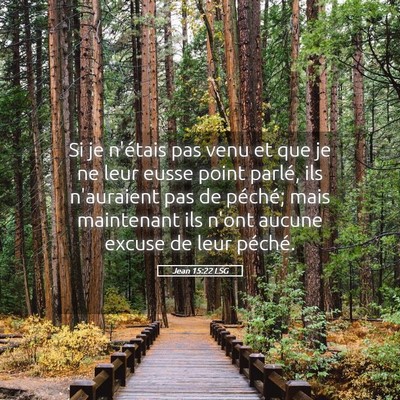 Picture 05 - Jean 15:22 LSG - Si je n'étais pas venu et que je ne leur eusse - Bible Verse Picture