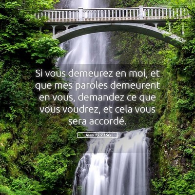 Picture 05 - Jean 15:7 LSG - Si vous demeurez en moi, et que mes paroles - Bible Verse Picture