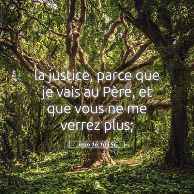 Picture 05 - Jean 16:10 LSG - la justice, parce que je vais au Père, et que - Bible Verse Picture