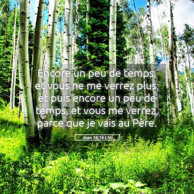 Picture 05 - Jean 16:16 LSG - Encore un peu de temps, et vous ne me verrez - Bible Verse Picture