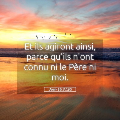 Picture 05 - Jean 16:3 LSG - Et ils agiront ainsi, parce qu'ils n'ont connu ni - Bible Verse Picture