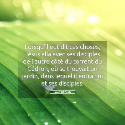 Picture 05 - Jean 18:1 LSG - Lorsqu'il eut dit ces choses, Jésus alla avec - Bible Verse Picture