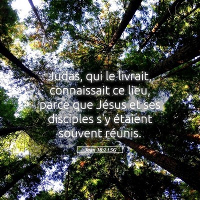Picture 05 - Jean 18:2 LSG - Judas, qui le livrait, connaissait ce lieu, parce - Bible Verse Picture