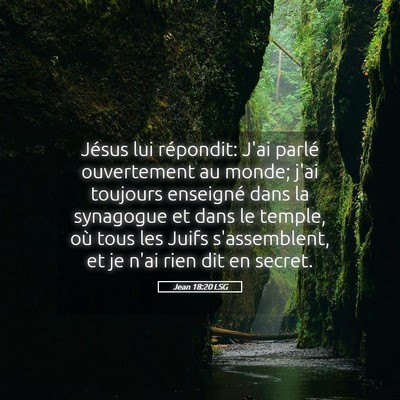 Picture 05 - Jean 18:20 LSG - Jésus lui répondit: J'ai parlé ouvertement au - Bible Verse Picture