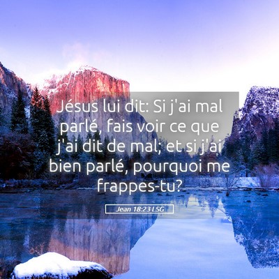 Picture 05 - Jean 18:23 LSG - Jésus lui dit: Si j'ai mal parlé, fais voir ce - Bible Verse Picture