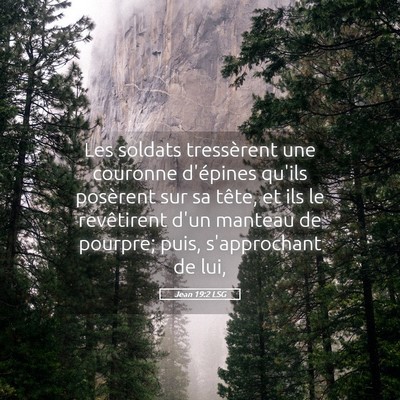 Picture 05 - Jean 19:2 LSG - Les soldats tressèrent une couronne d'épines - Bible Verse Picture