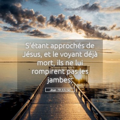 Picture 05 - Jean 19:33 LSG - S'étant approchés de Jésus, et le voyant - Bible Verse Picture