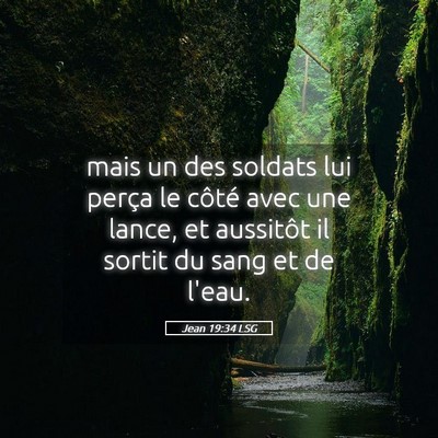 Picture 05 - Jean 19:34 LSG - mais un des soldats lui perça le côté avec une - Bible Verse Picture