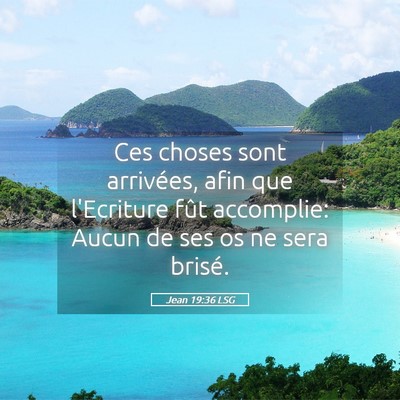 Picture 05 - Jean 19:36 LSG - Ces choses sont arrivées, afin que l'Ecriture - Bible Verse Picture