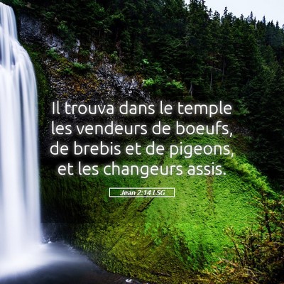 Picture 05 - Jean 2:14 LSG - Il trouva dans le temple les vendeurs de boeufs, - Bible Verse Picture