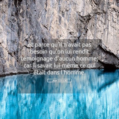 Picture 05 - Jean 2:25 LSG - et parce qu'il n'avait pas besoin qu'on lui - Bible Verse Picture