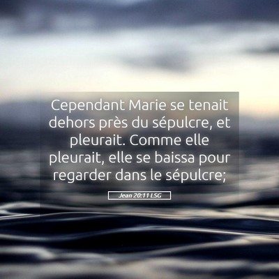 Picture 05 - Jean 20:11 LSG - Cependant Marie se tenait dehors près du - Bible Verse Picture