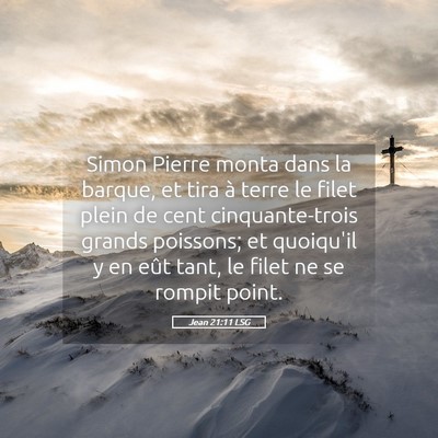 Picture 05 - Jean 21:11 LSG - Simon Pierre monta dans la barque, et tira à - Bible Verse Picture