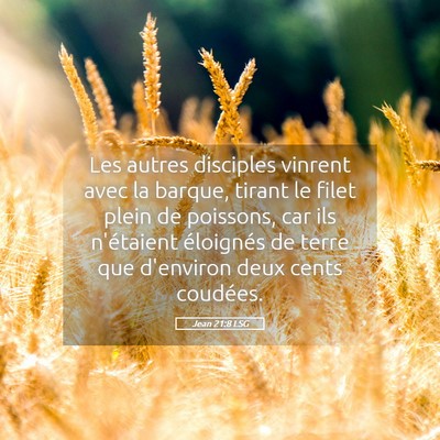 Picture 05 - Jean 21:8 LSG - Les autres disciples vinrent avec la barque, - Bible Verse Picture