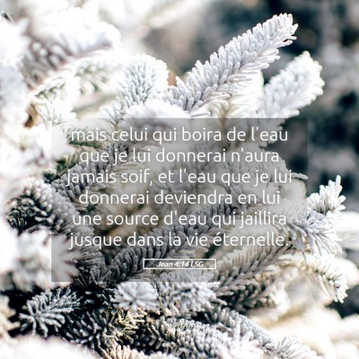 Picture 05 - Jean 4:14 LSG - mais celui qui boira de l'eau que je lui donnerai - Bible Verse Picture