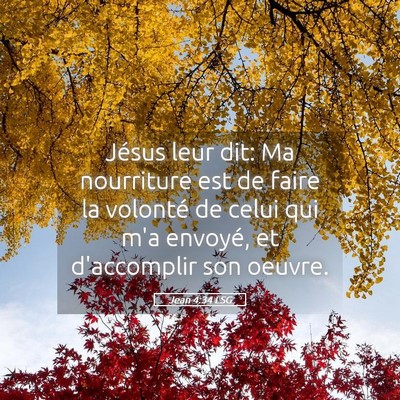 Picture 05 - Jean 4:34 LSG - Jésus leur dit: Ma nourriture est de faire la - Bible Verse Picture