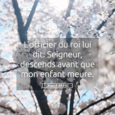 Picture 05 - Jean 4:49 LSG - L'officier du roi lui dit: Seigneur, descends - Bible Verse Picture