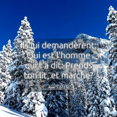 Picture 05 - Jean 5:12 LSG - Ils lui demandèrent: Qui est l'homme qui t'a - Bible Verse Picture