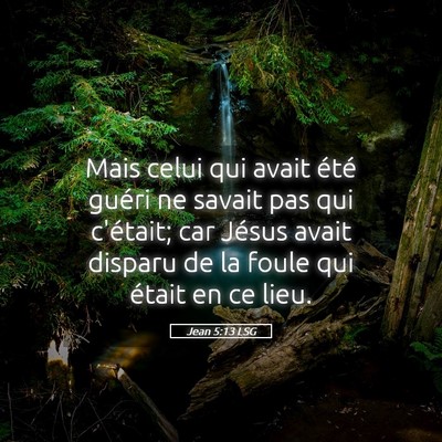 Picture 05 - Jean 5:13 LSG - Mais celui qui avait été guéri ne savait pas - Bible Verse Picture